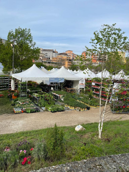 Inizia oggi la Fiera dell’Agricoltura: nel pomeriggio l’inaugurazione con 210 espositori - Foto