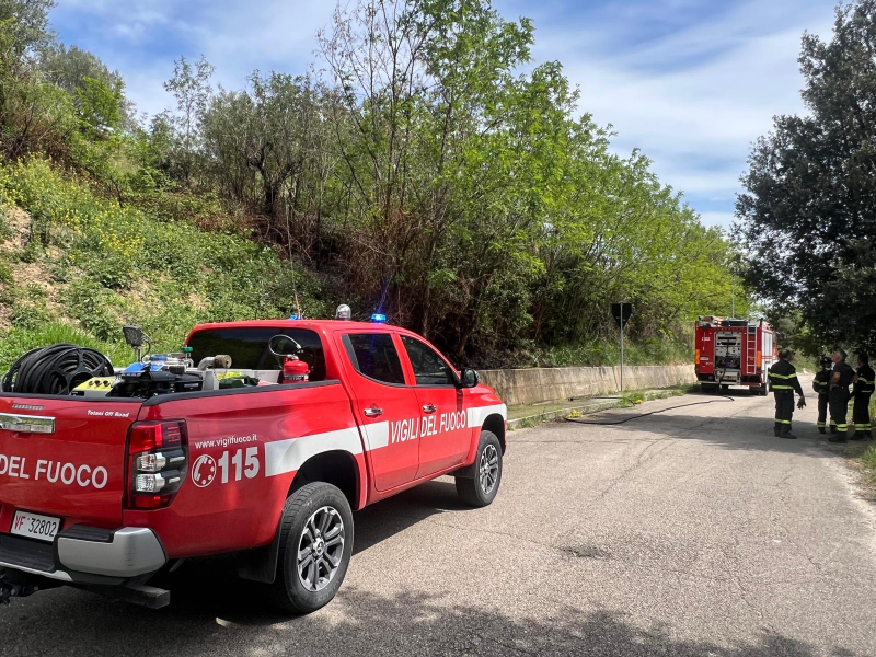 Principio di incendio a Frondarola lungo una scarpata - Foto