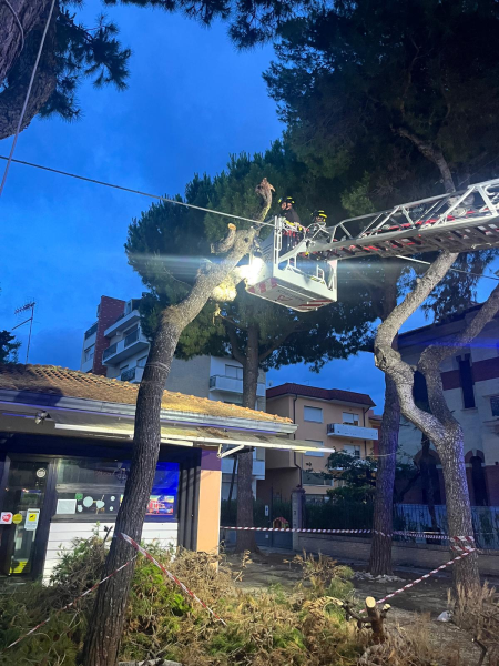 Maltempo. Alberi caduti e scantinati allagati: 30 gli interventi dei vigili del fuoco in provincia - Foto