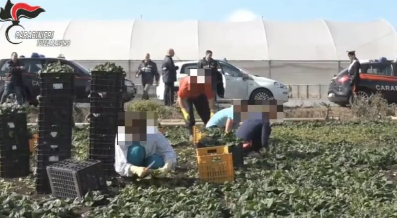 Teramo. Proprietari di un'azienda agricola fermati per caporalato - Foto