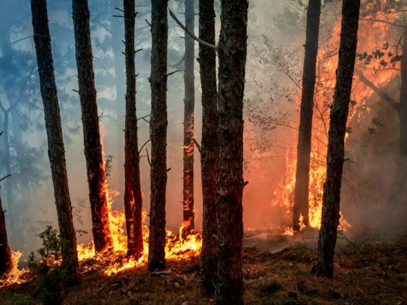 Teramo. Nuova circolare sulla prevenzione agli incendi - Foto