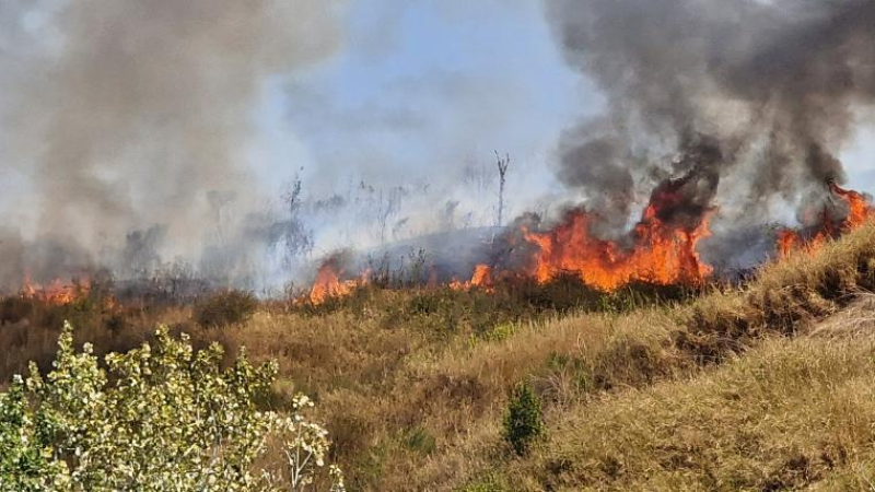 Grave incendio in corso a Carapollo, vicino alla sede della Te.Am - Foto