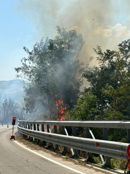 Incendio a Castiglione Messer Raimondo: chiuso un tratto della SS80 - Foto