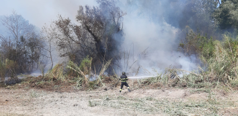 Incendi in provincia di Teramo tra Ancarano e la vallata del Fino: non si ferma il lavoro dei vigili del fuoco - Foto