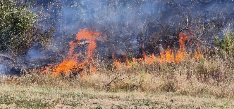 Brucia ancora Carapollo: non si arresta il lavoro dei vigili del fuoco - Foto