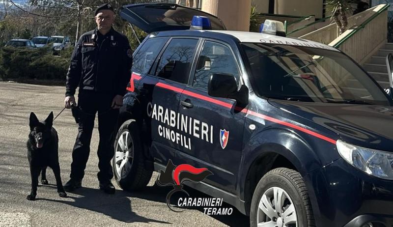 Martinsicuro. Vendeva eroina e hashish nel suo appartamento: arrestata una donna - Foto