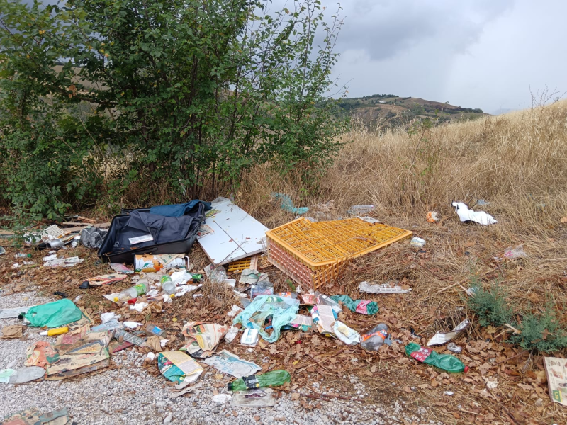 La Sp1b tra Ancarano e Castel di Lama è piena di rifiuti abbandonati - Foto