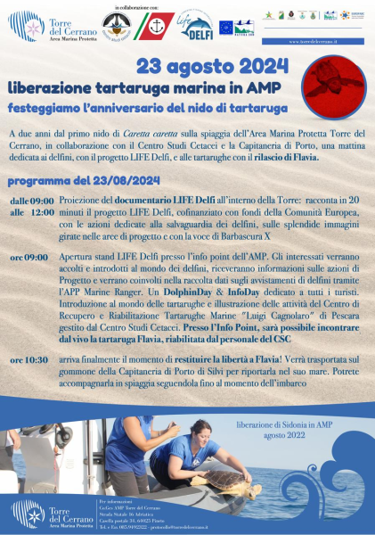 Il 23 agosto una festa in AMP dopo due anni dal primo nido di Caretta caretta - Foto