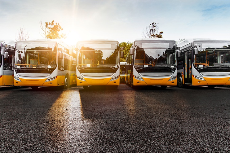 Bus elettrici in Abruzzo. Primato nell'Aquilano, siamo al 3,3% - Foto