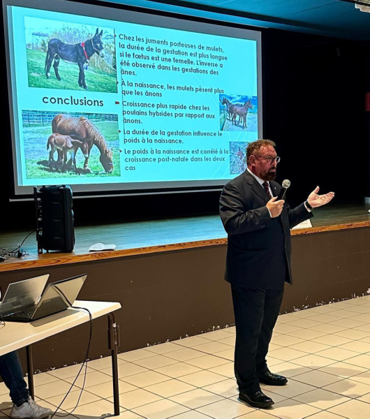 Salvaguardia del mulo per biodiversità, UniTe agli stati generali in Francia - Foto