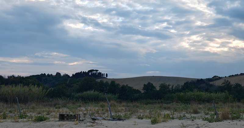 L'Oasi del Borsacchio attende da vent'anni il Piano di Assetto Naturalistico - Foto