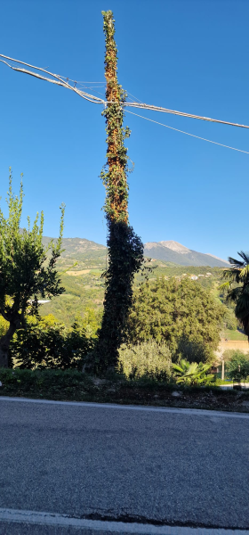 Pericolo sulla provinciale Teramo-Torricella. Palo pericolante della Telecom. - Foto