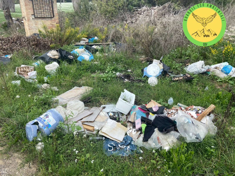 Scovate delle discariche a cielo aperto a Colonnella - Foto