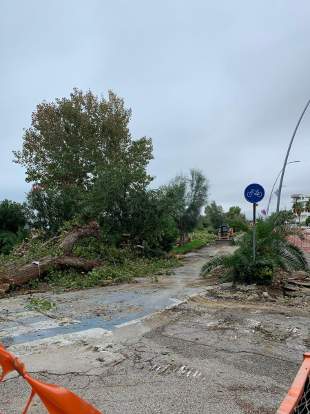 Comitato Provinciale per la tutela del Verde Pubblico: "Scelte dannose per l'ambiente ad Alba Adriatica" - Foto