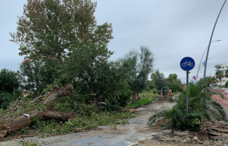 Rifiuti Zero Abruzzo e Conalpa chiedono un confronto al Comune di Alba Adriatica sull'abbattimento pioppi - Foto