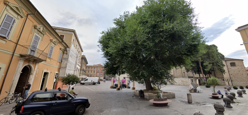 Richiesta di accesso agli atti per gli interventi sull'olmo di piazza Martiri e la quercia di via Po - Foto