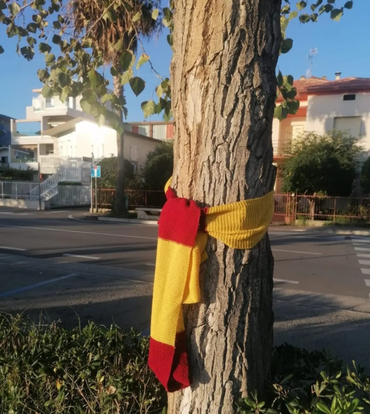 Alba Adriatica e quella sciarpa intorno ad un pioppo in segno di protesta - Foto