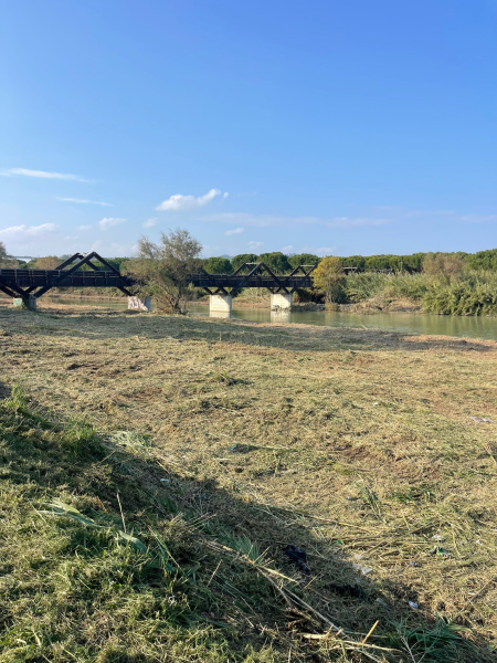 Conclusi gli interventi di bonifica e pulizia alla foce del Tordino e del Salinello - Foto