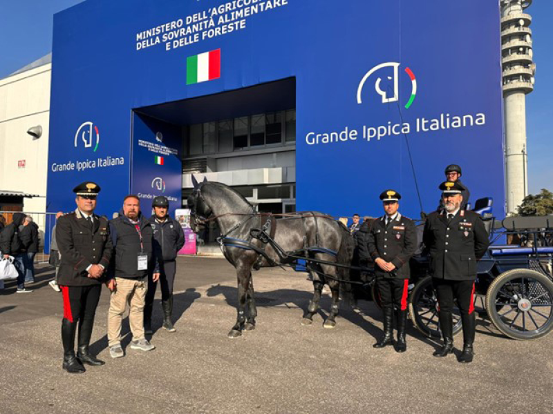 Successo per Netrix di Santa Rosa, cavallo murgese di UniTe presentato a Fieracavalli Verona - Foto