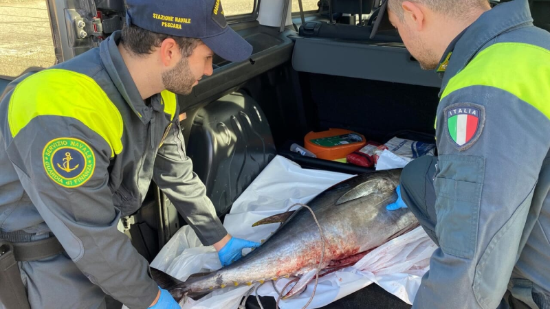 Tonno rosso pescato illegalmente a Roseto: fermato un gommone dalla Guardia di Finanza - Foto