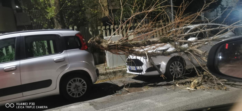 Vento forte a Teramo. Pali della luce a terra, rami contro le auto, transenne divelte - Foto