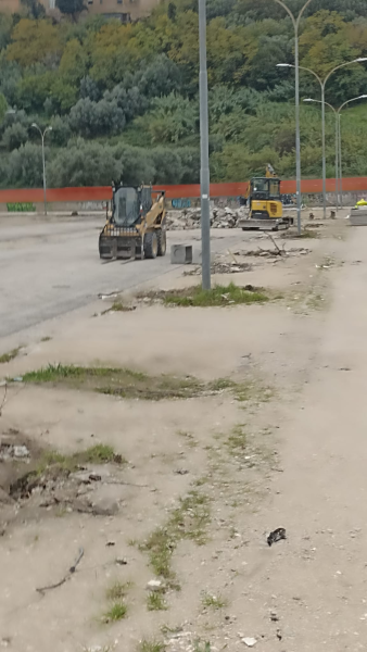 Giulianova. Protesta per gli alberi abbattuti in piazza Dalla Chiesa - Foto