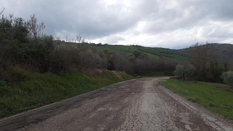 Domani al via i lavori lungo la SP1/b di Ancarano - Foto