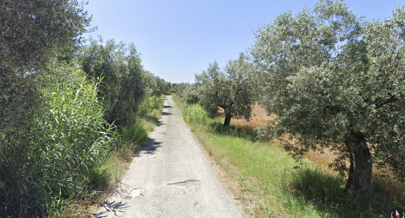 Strada impraticabile tra Alba Adriatica e Tortoreto: l’appello dei residenti - Foto