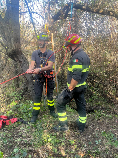 Riprendono questa mattina le ricerche di quattro cani da caccia intrappolati in una tana - Foto