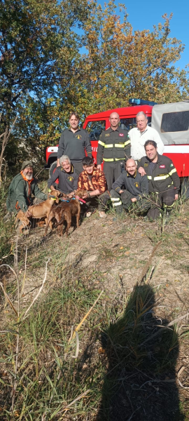 Sono salvi i quattro cani da caccia rimasti intrappolati per ore in una tana - Foto