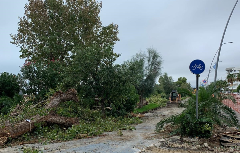 Alba Adriatica. Il "Comitato Verde Pubblico" diffida il Comune sul progetto del lungomare - Foto