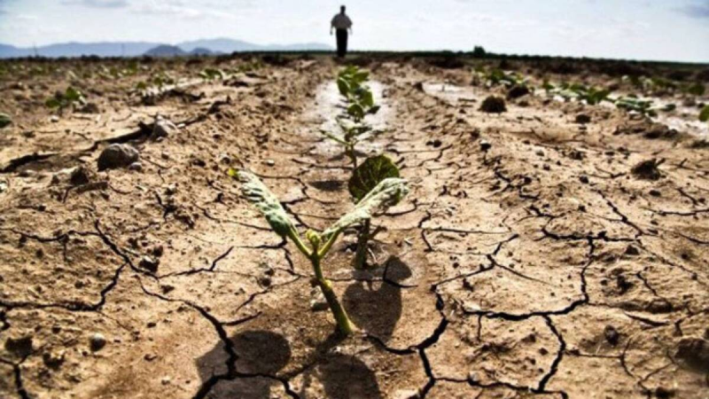 Lotta alla siccità: sostegni economici anche per l’Abruzzo - Foto